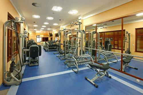 Hotel Ensana Centr�ln� L�zn? - Maria Spa