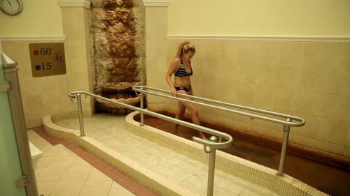 Hotel Ensana Centr�ln� L�zn? - Maria Spa