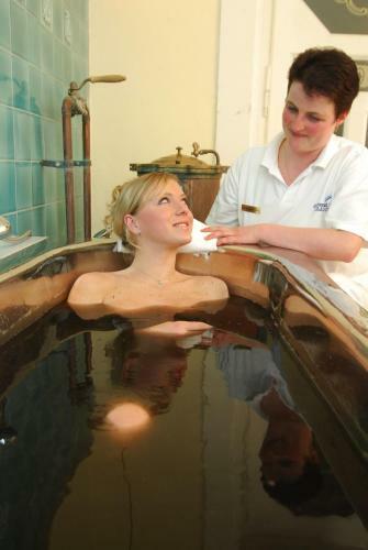 Hotel Ensana Centr�ln� L�zn? - Maria Spa
