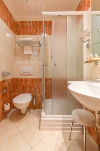 Hotel Ensana Centr�ln� L�zn? - Maria Spa