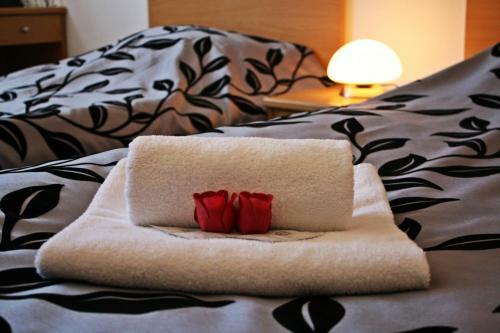 Hostal Penzion V Hlubok�