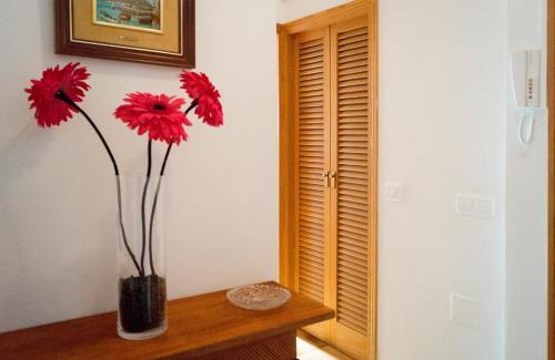 Apartamentos Alamos