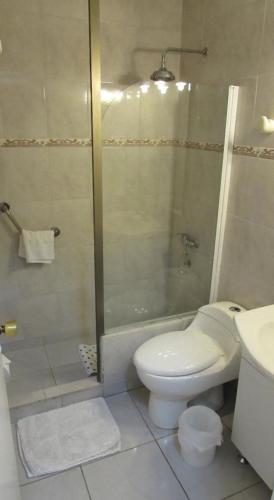 Hotel Plaza Los Andes
