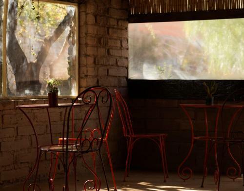 Hostel Casa Arbol