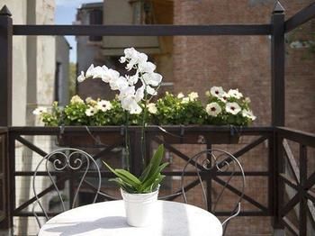 Hotel Campiello