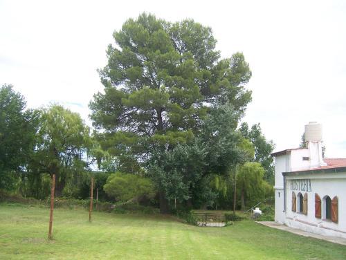 Posada Hosteria Las Rabonas