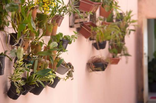 Hostel Itagu�
