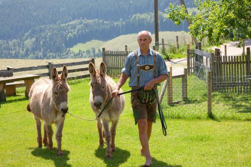 Hostal G�stehaus Hinterponholz