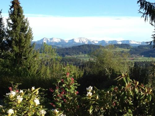Berghotel J�gerhof ****s