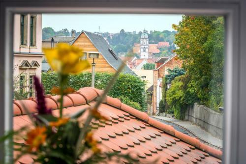 Aparthotel Goldenes Fass Mei�en