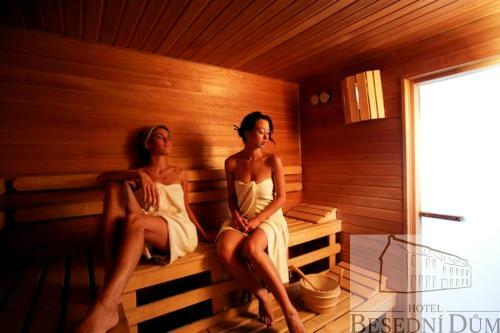 Wine & Wellness Hotel Besedn� D?m
