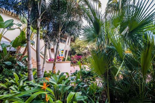Crane's Beachhouse Hotel & Tiki Bar