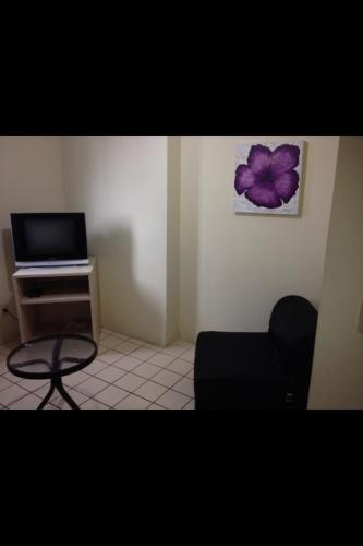 Apartamento Flat Em Boa Viagem