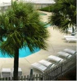 Apartamento Pelicans Landing