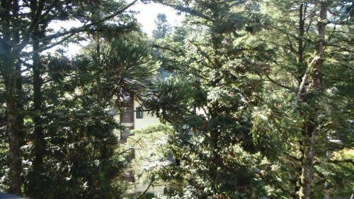 Apartamento Duplex Gramado