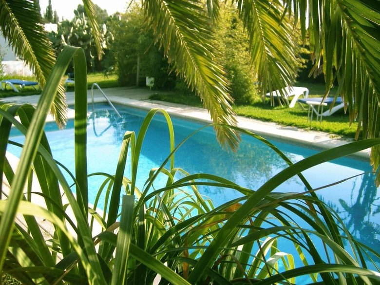 Hotel Bungalows Puravida