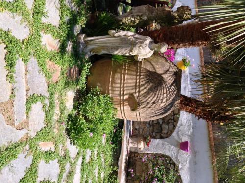 Bed & Breakfast Mediterraneo Guest House