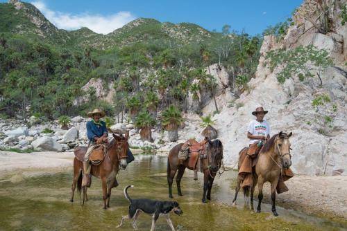 Hotel Rancho Las Cruces