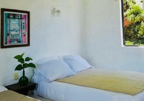 Hotel Villa Matisse Tulum