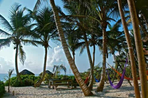 Apartamento Playa Selva