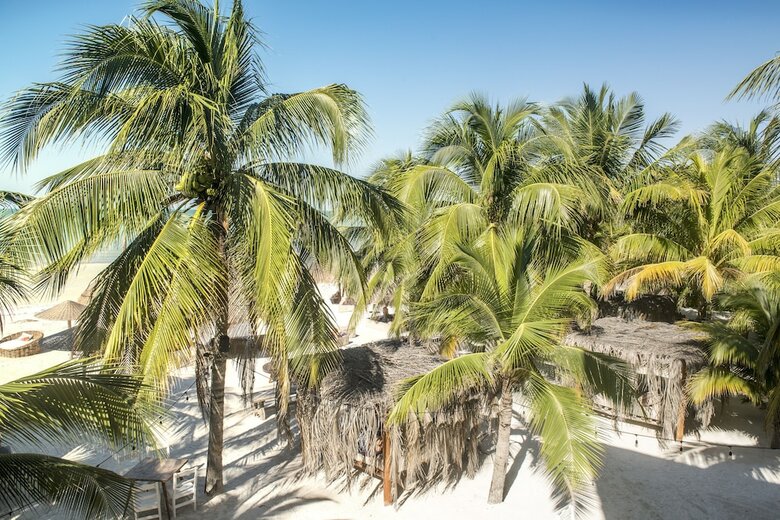 Casa Las Tortugas Petit Beach Hotel & Spa