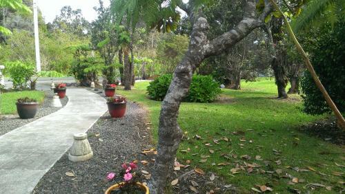Lodge Chalet Kilauea Collection