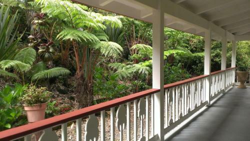 Lodge Chalet Kilauea Collection