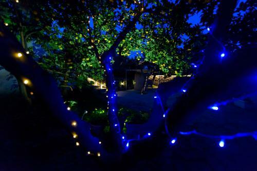 Bed & Breakfast Gli Aranci