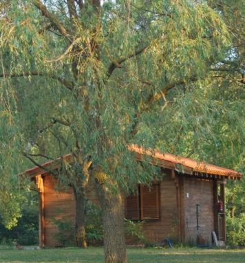 Camping Ripolles