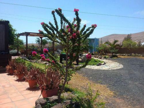 Agroturismo Casa Rural Soleario