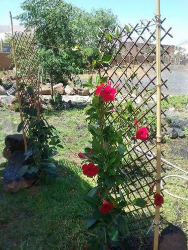 Agroturismo Casa Rural Soleario