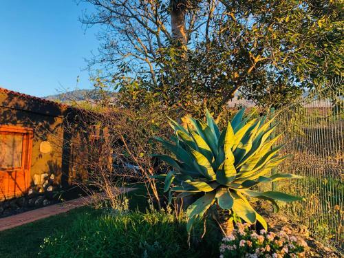 Casa Rural Do�a Herminda