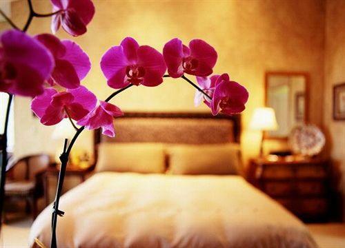 Hotel Davanzati