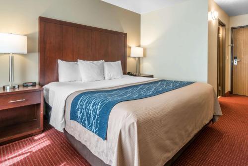 Hotel Comfort Inn Lacey