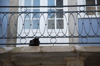 Hostal Yours Guesthouse Porto