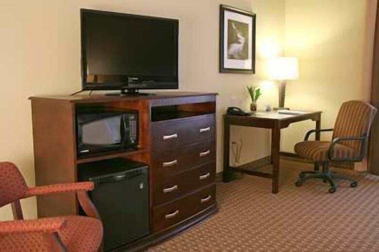 Hotel Hampton Inn & Suites Sevierville At Stadium Drive