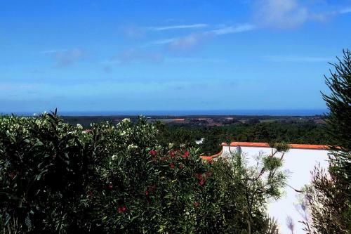 Agroturismo Salgadinho Casa De Campo & Selao Da Eira Velha