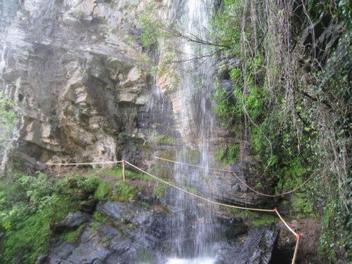 Agroturismo Curral De L Tiu Pino