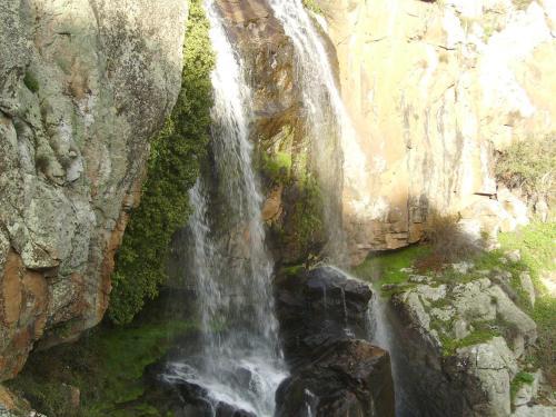 Agroturismo Curral De L Tiu Pino
