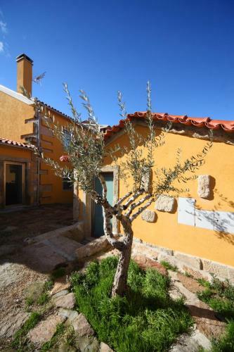 Agroturismo Curral De L Tiu Pino