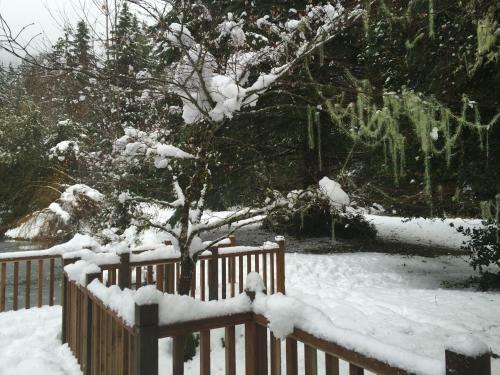 Posada Alexander's Country Inn At Mount Rainier