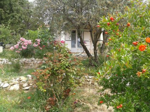 Apartamento Aicardi