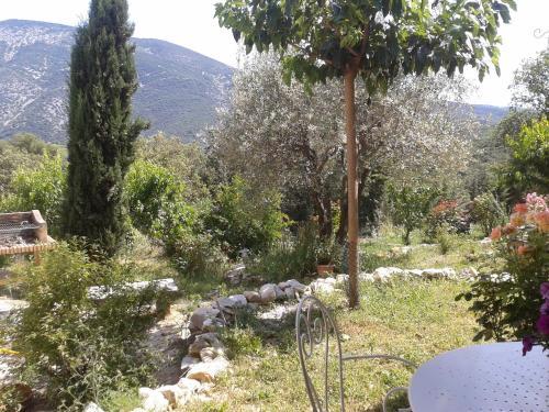 Apartamento Aicardi