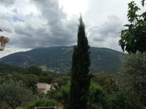 Apartamento Aicardi