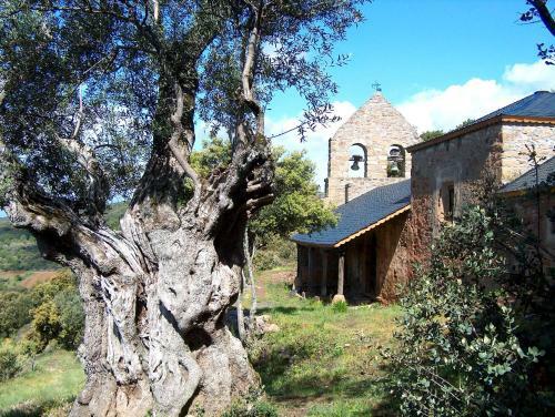 Agroturismo La Nogala