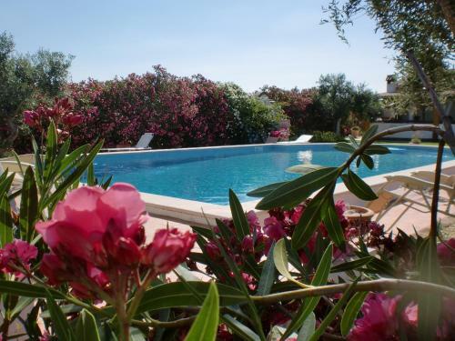 Agroturismo Monte Chala�a - Turismo Rural