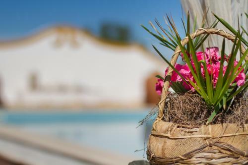Agroturismo Monte Chala�a - Turismo Rural