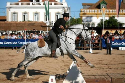 Agroturismo Coudelaria Vale Pau