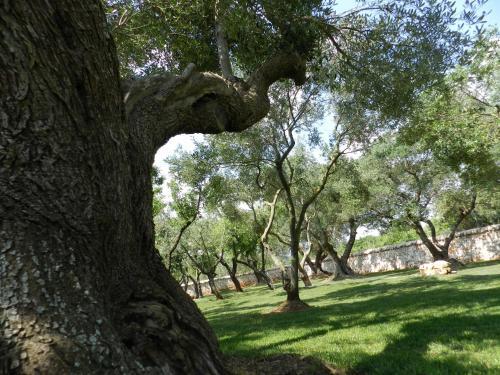 Agroturismo I Trulli Del Nonno Michele
