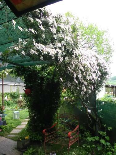 Bed & Breakfast La Roulotte De Lola - Chambre D'h�tes